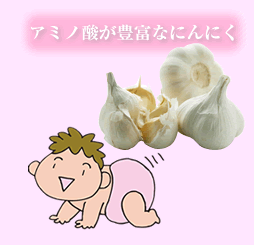 授乳期 アミノ酸が豊富なにんにく