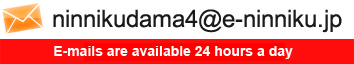 ninnikudama4@e-ninniku.jp