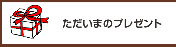 ただいまのプレゼント