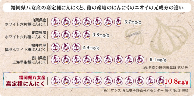 福岡県八女産の嘉定種にんにくと、他の産地

のにんにくのニオイの元成分の違い