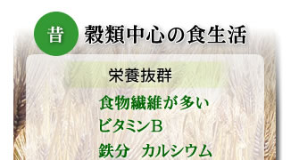 �G���āE�i�́j���ޒ��S�̐H����