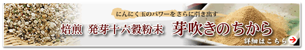 �u�萁���̂�����v�ڍׂ͂�����