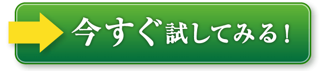 今すぐ試してみる！