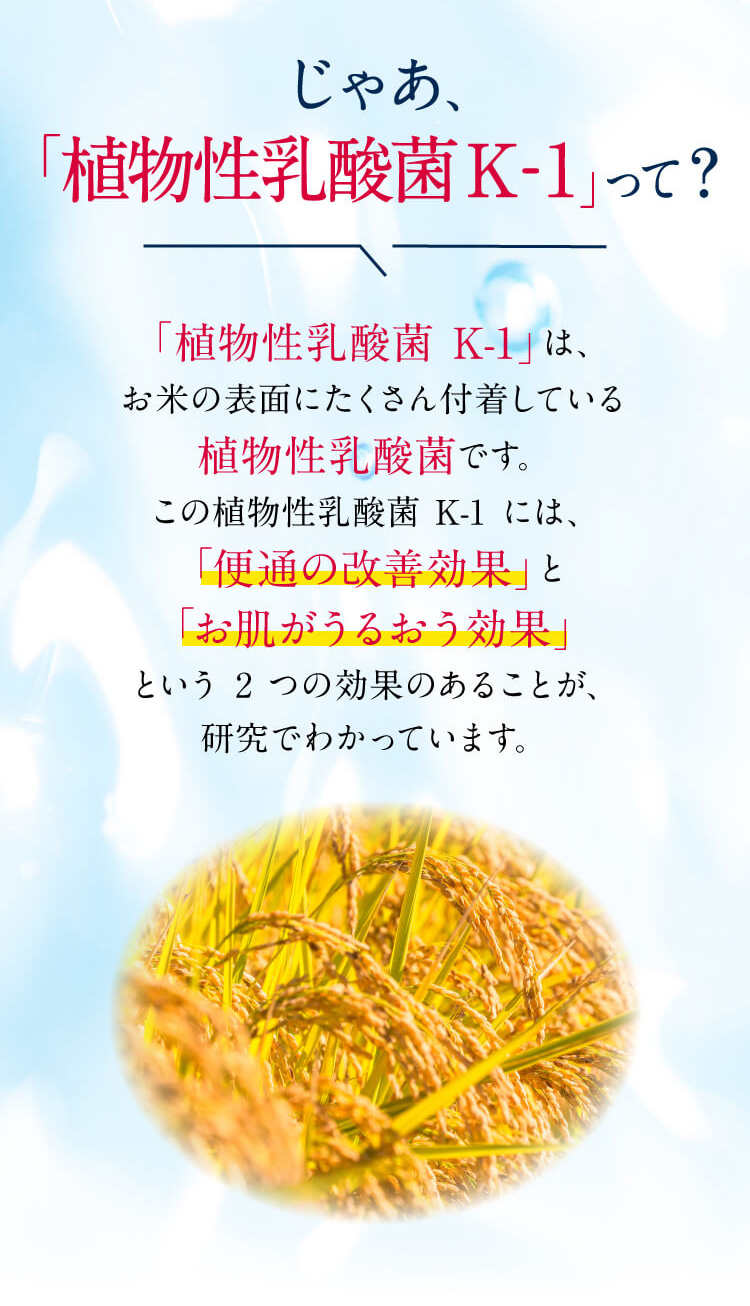 じゃあ、「植物性乳酸菌K-1」 って?
「植物性乳酸菌 K-1」は、お米の表面にたくさん付着している植物性乳酸菌です。この植物性乳酸菌 K-1 には、「便通の改善効果｣と「お肌がうるおう効果」という2つの効果のあることが、研究でわかっています。