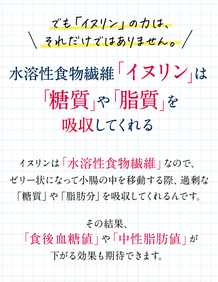 でも「イヌリン」の力は、それだけではありません。水溶性食物繊維 「イヌリン」は「糖質」や「脂質」を吸収してくれるイヌリンは 「水溶性食物繊維」 なので、ゼリー状になって小腸の中を移動する際、 過剰な「糖質」や「脂肪分」を吸収してくれるんです。その結果､
「食後血糖値」や 「中性脂肪値」が下がる効果も期待できます。