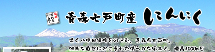 青森七戸町産にんにく