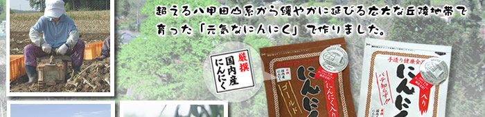 青森七戸町産にんにく