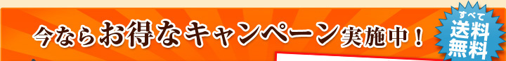 今ならお得なキャンペーン実施中！すべて送料無料