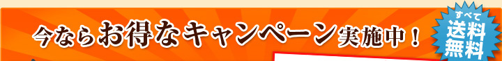 今ならお得なキャンペーン実施中！すべて送料無料