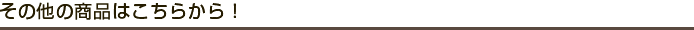 その他の商品はこちらから!