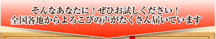 そんなあなたに！ぜひお試しください！