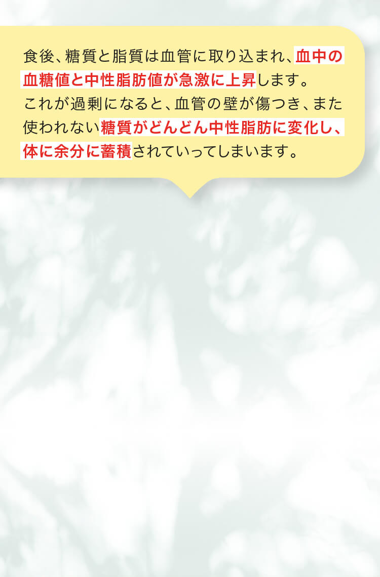 食後、糖質と脂質は血管に取り込まれ、血中の血糖値と中性脂肪値が急激に上昇します。これが過剰になると、血管の壁が傷つき、また使われない糖質がどんどん中性脂肪に変化し、体に余分に蓄積されていってしまいます。