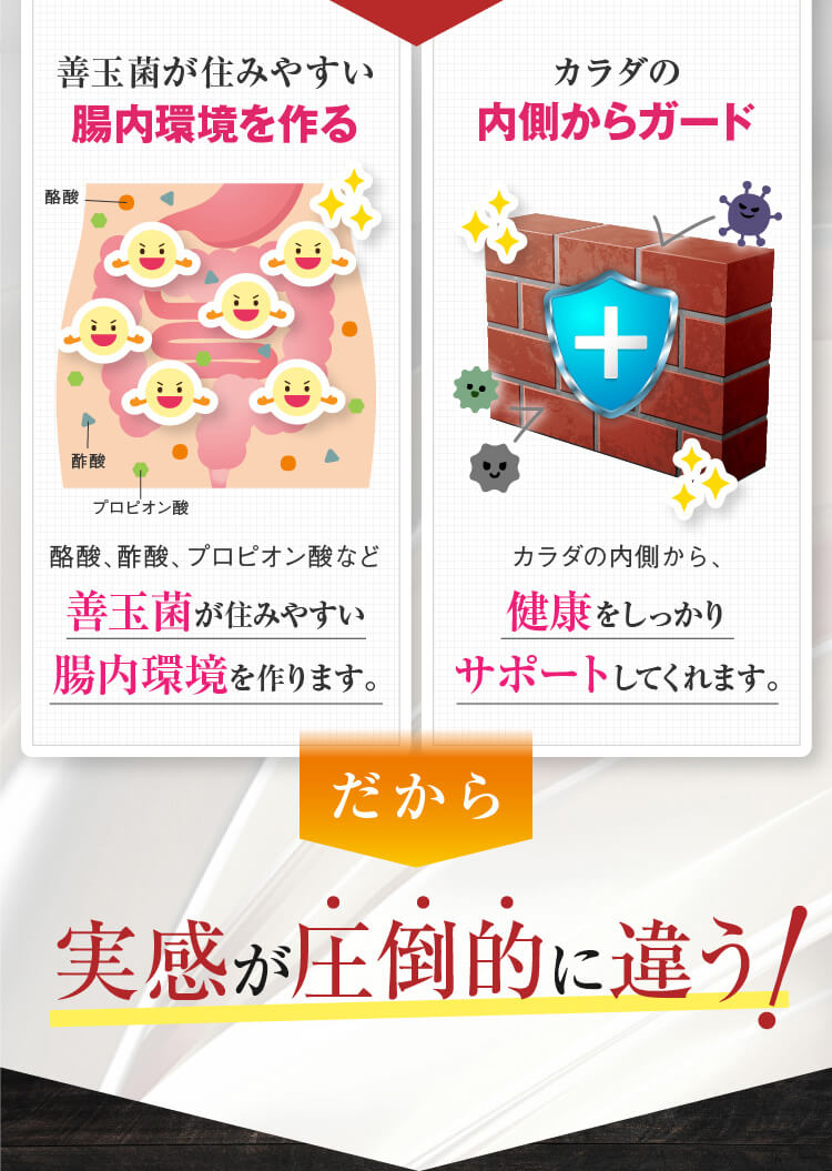 善玉菌が住みやすい腸内環境を作る