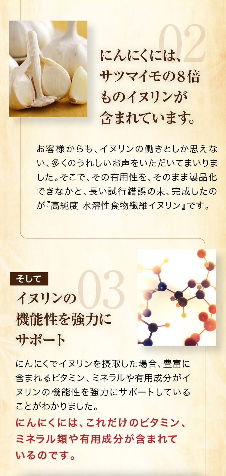 にんにくには、サツマイモの８倍ものイヌリンが含まれています。