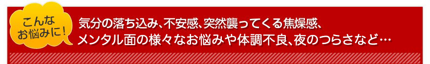 こんなお悩みに！気分の落ち込み、不安感、突然襲ってくるパニック、更年期の様々なお悩みやめまい、ふらつき、眠れないつらさなど・・・