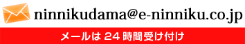 ninnikudama@e-ninniku.jp メールは24時間受け付け